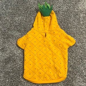 Dog pineapple costume